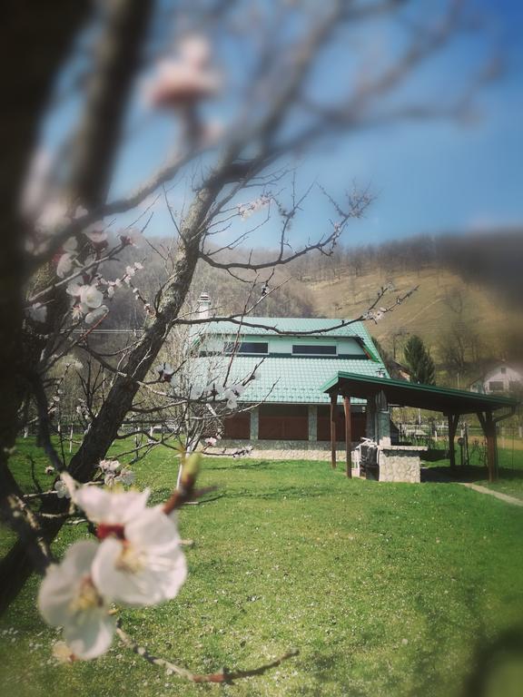 Mila Holiday Home Lohovo エクステリア 写真